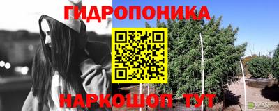 метадон Нарткала