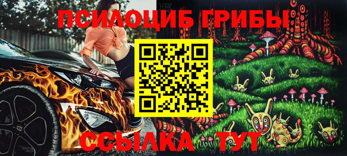 Псилоцибиновые грибы мицелий Чистополь