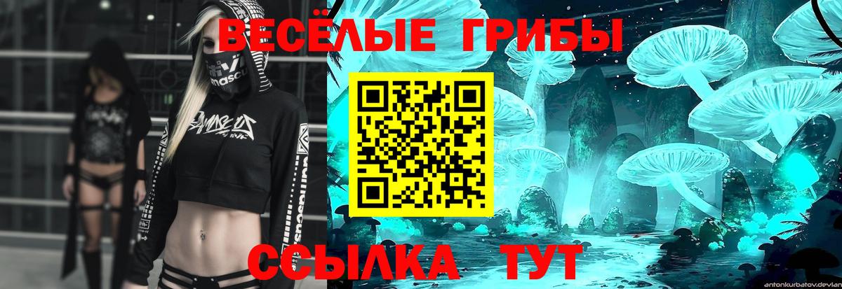 Псилоцибиновые грибы Psilocybe  Вход с VPN  Чистополь 